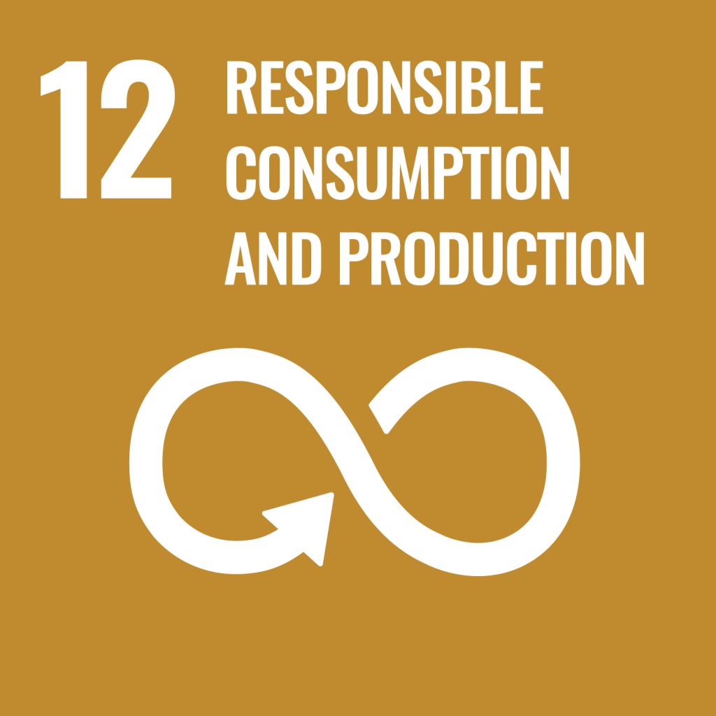 UN Sustainable Development Goal 12: Responsible Consumption and Production