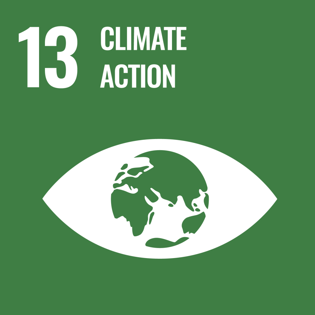 UN Sustainable Development Goal 13: Climate Action