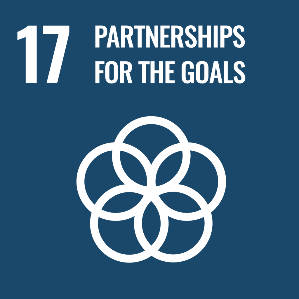 UN Sustainable Development Goal 17: Partnerships for the goals