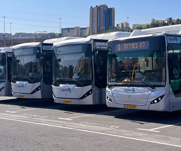 Different buses from Ayalon in Israel shown in a row